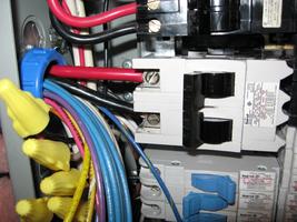 generator 2010